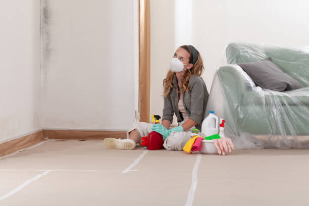 Reliable Mold Testing contractor in Ardmore, TN by WQB Mold Removal